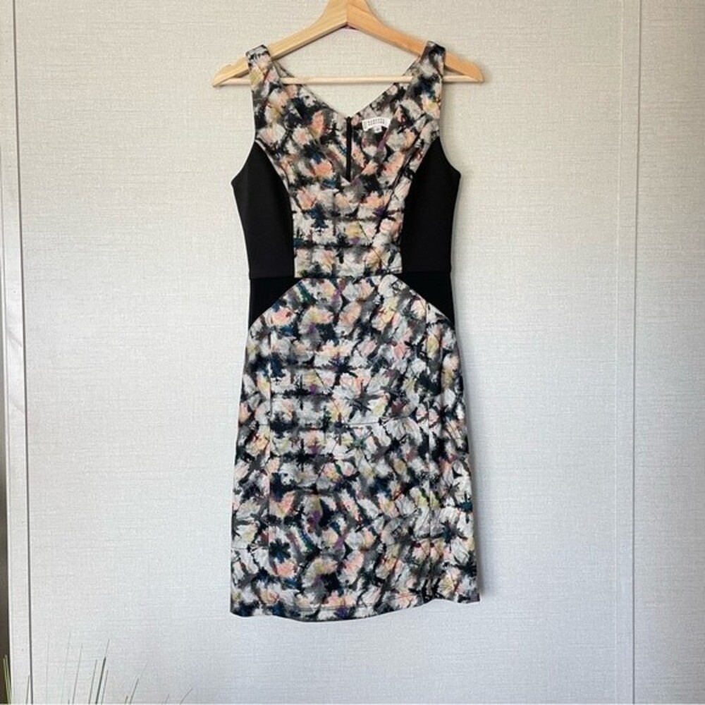 Barney's New York Sheath Dress Size 2